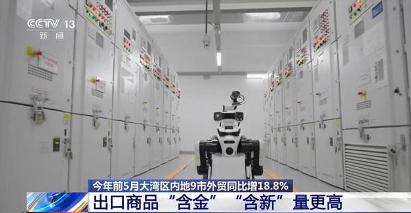 大湾区2.jpg
